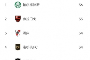 世俱杯球隊犯規(guī)榜：帕爾梅拉斯、弗拉門戈、河床3支南美隊排前三