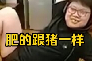 Yang直言Chalice抽過(guò)脂：楊沈儀，你肥的跟豬一樣，鬧麻了給你！