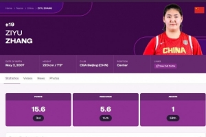 把一切都?xì)w因于張子宇，是思想懶惰的體現(xiàn)