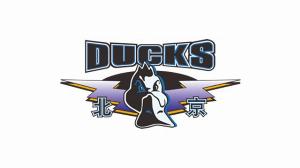 媒體人：北京隊(duì)第3外援的選擇更傾向于二三號(hào)位