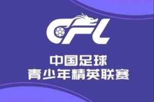 U21聯(lián)賽晉級組J組第4輪：青島海牛1-1深圳新鵬城 浙江3-0北京國安
