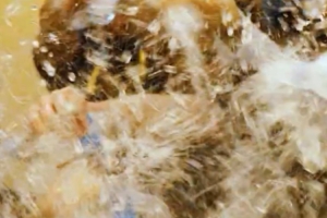 成功拿下總冠軍后，大家在更衣室用一場特別的狂歡慶祝榮耀時刻！