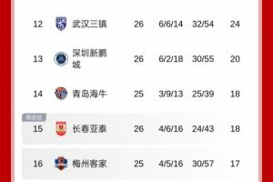 地獄難度！積分榜：新鵬城僅領(lǐng)先降級(jí)區(qū)2分，將戰(zhàn)國(guó)安+申花+蓉城