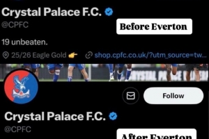 遭埃弗頓逆轉(zhuǎn)絕殺，水晶宮官推刪除連續(xù)19場(chǎng)不敗的介紹