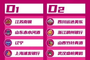 全國女子籃球錦標賽八強戰(zhàn)將于12日-18日在四川宜賓高縣賽區(qū)進行