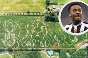 紐卡中場威洛克在迷宮迷路？埃迪-豪否認：謝天謝地，這不是真的