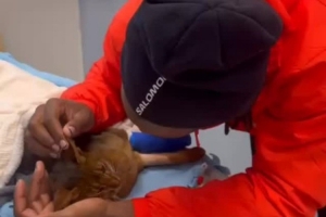 巴舒亞伊深情告別因車禍離世的愛貓：安息吧，我的兒子