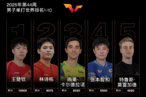 WTT男單最新世界排名：王楚欽林詩(shī)棟前二，梁靖崑第6，向鵬第9