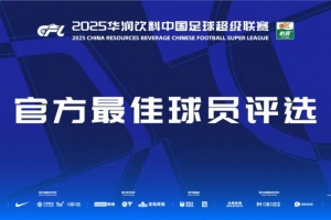 中超官方第28輪最佳候選：瓦科、薩里奇、恩里克、戴維森、亞戈