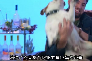 陪伴克萊13年的小狗去世了，不敢相信克萊得多么傷心