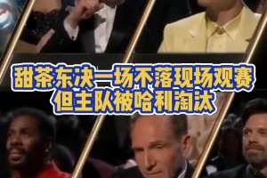 甜茶真尼克斯鐵粉 每場都在現(xiàn)場看球無奈被步行者淘汰