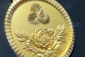 中國女籃名宿鄭薇談十五運會獎牌：希望把金牌留在廣東！