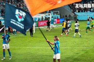 勝敗兩重天，深圳新鵬城球員賽后熱情慶祝，申花替補(bǔ)球員默默加練