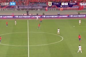 忍不了！全場(chǎng)泰山球迷高喊：崔康熙下課！