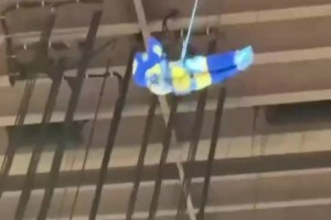 這錢不白賺！步行者吉祥物：印第安納不養(yǎng)閑人！