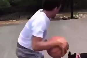 還是你會(huì)玩特雷-楊遭遇小黑狗狗防守，花式運(yùn)球戲耍+嘲諷~